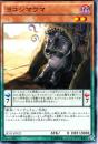 ヨコシマウマ(SD31-22)