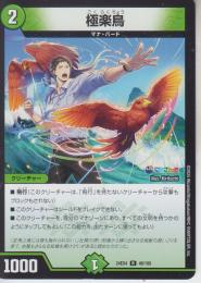 極楽鳥(DM24EX4-48R)