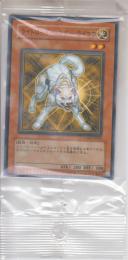 ライトロード・ハンター　ライコウ(LODT-22PV)パラレル未開封品