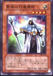 熟練の白魔導師(15AY-C20)