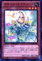 ナチュル・ラグウィード(DTC3-50)