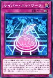サイバー・ネットワーク(18TP-214)