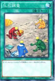 化石調査(SR04-022P)ノーマルパラレル
