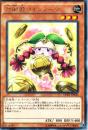 占術姫コインノーマ(CPD1-30R)