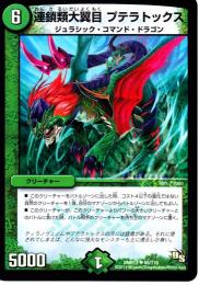 連鎖類大翼目プテラトックス(DMR13)