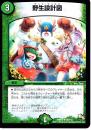 野生設計図(DMR13)