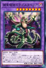 捕食植物ドラゴスタペリア(DP22-53)