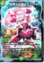 龍覇少女隊ハラグロX(DMEX06-40)