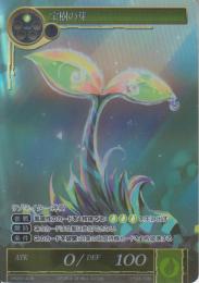 宝珠の芽(PR2014-06)