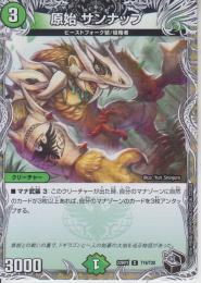 原始サンナップ(DM22RP1-T19C)黒トレジャー