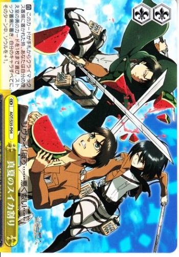 トレーディングカードショップ ペガサス 遊戯王 デュエマ ポケモン 販売 真夏のスイカ割り Aot S35 P04