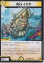 奇石イカガ(DMRP19-61C)