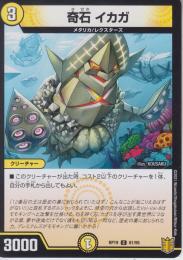 奇石イカガ(DMRP19-61C)