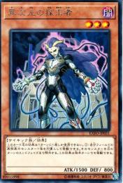 異次元の探求者(EXFO-31R)レア