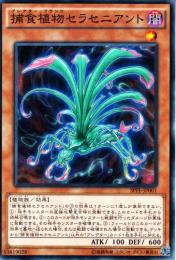 捕食植物セラセニアント:プレデター・プランツ(SPFE-01)