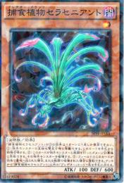 捕食植物セラセニアント:プレデター・プランツ(SPFE-01P)パラレル
