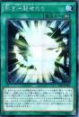 熱き決闘者たち(20AP-01SS)シークレットレア