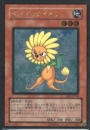 ダンディライオン(GS01-02G)